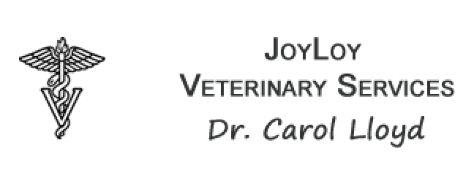 JoyLoy Veterinary Services